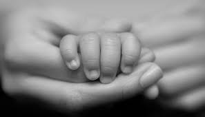 utero_in_affitto_maternit_surrogata_surrogazione