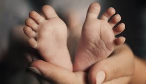 utero_in_affitto_maternit_surrogata_surrogazione